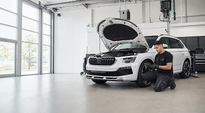 Skoda Inspektion bild
