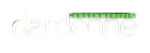 dardenne_logo